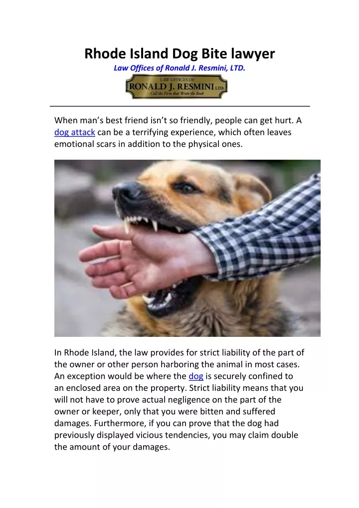 PPT - Rhode Island Dog Bite lawyer PowerPoint Presentation, free download - ID:10589163