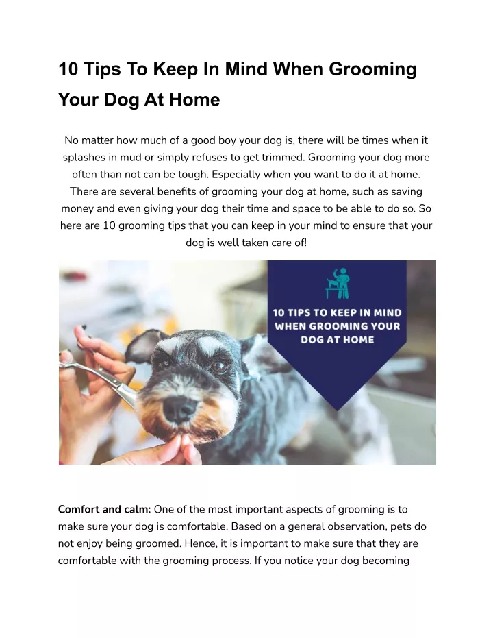 PPT - 10 Tips To Keep In Mind When Grooming Your Dog At Home PowerPoint ...