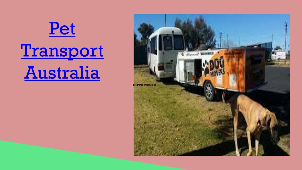 PPT Get To Know Pet Transport In Australia PowerPoint Presentation, free download ID10599416