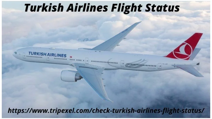TURKISH AIRLINES FLIGHT STATUS visual data 8