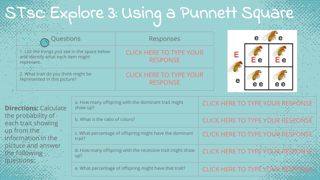 PPT Punnett Squares PowerPoint Presentation Free Download ID