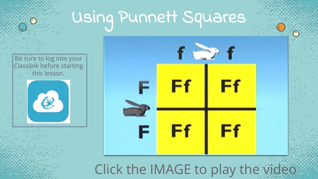 Ppt Punnett Squares Powerpoint Presentation Free Download Id 10629919