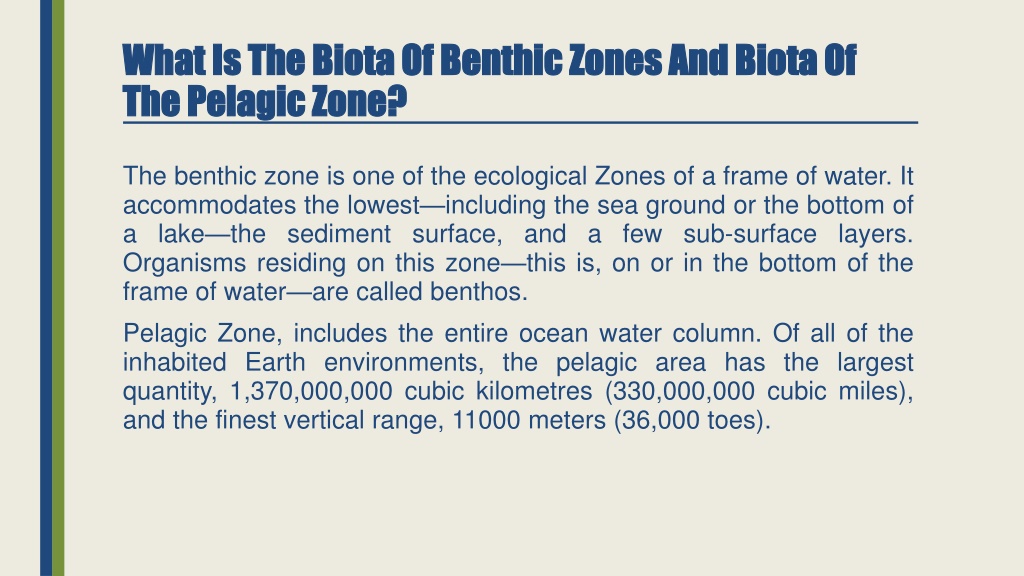 PPT - Distinguish between biota of the pelagic and benthic PowerPoint ...