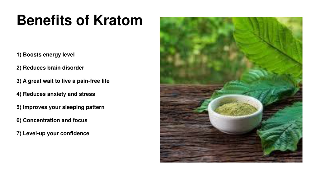 Ppt Kratom Strains Powerpoint Presentation Free Download Id10638757