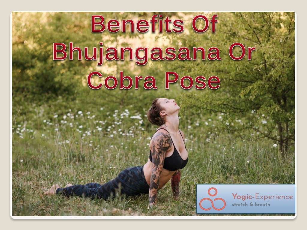 Benefits of Bhujangasana or Cobra Stretch And How To Do It