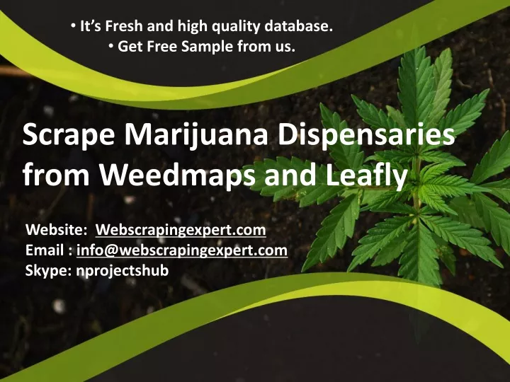 PPT - Scrape Marijuana Dispensaries from Weedmaps and Leafly PowerPoint ...