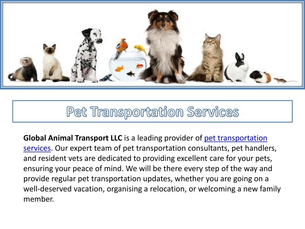 PPT Pet Transportation Services PowerPoint Presentation, free
