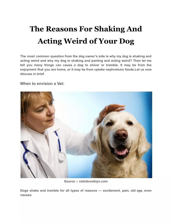 PPT - The Reasons For Shaking And Acting Weird of Your Dog PowerPoint ...