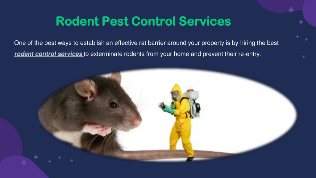 PPT Effective Rodent Control Methods PowerPoint Presentation, free