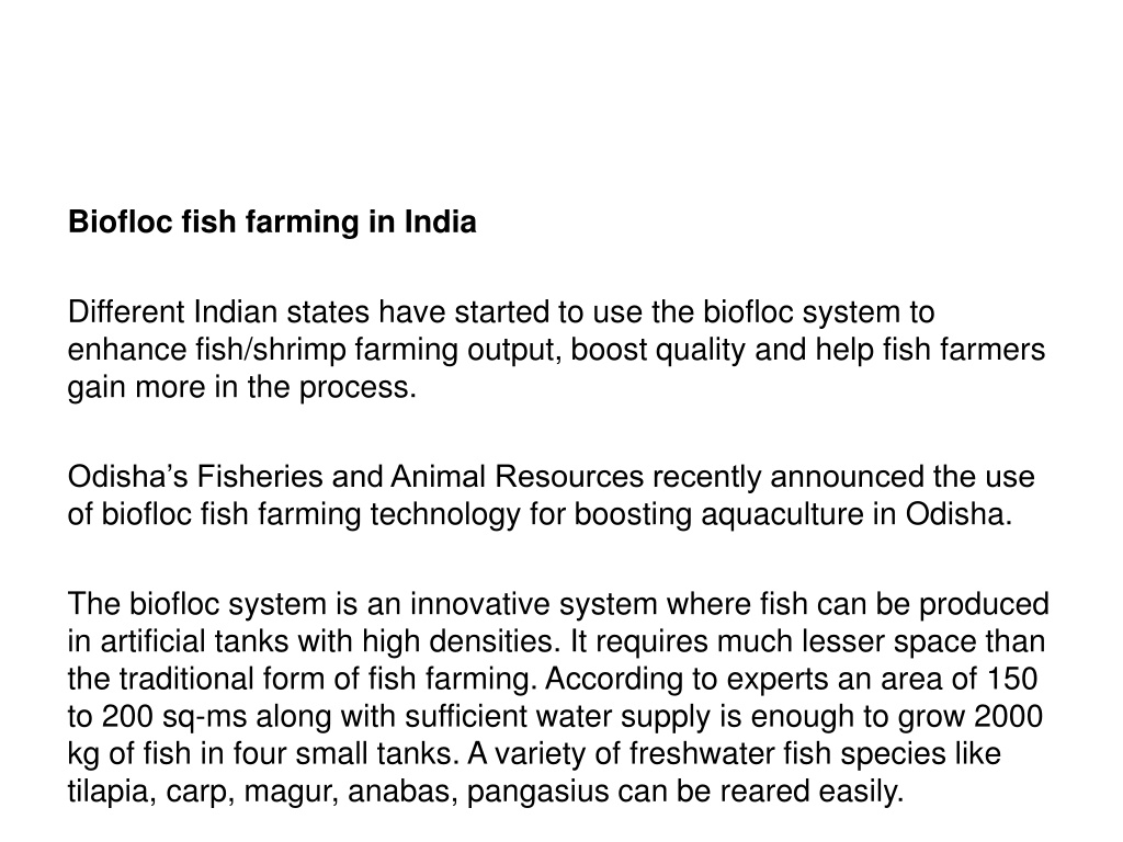 biofloc fish farming business plan in india pdf