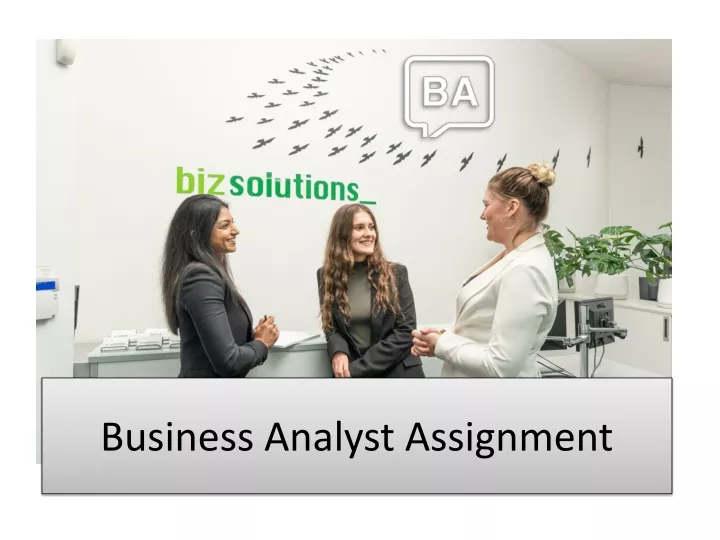 business analyst assignment