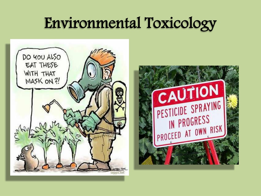 research about environmental toxicology
