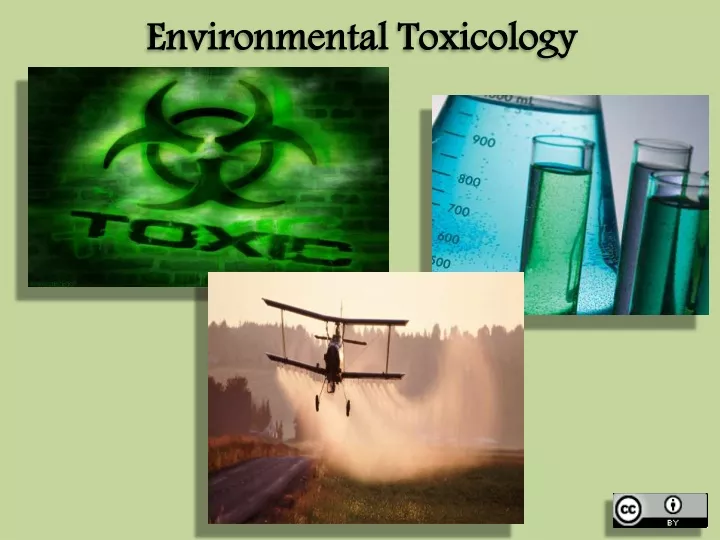 research about environmental toxicology