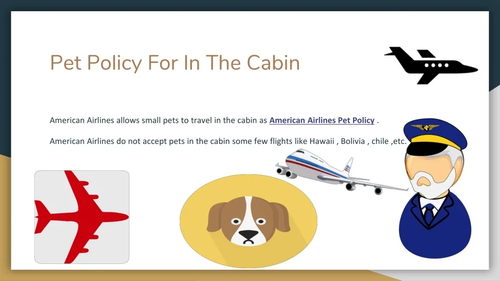 PPT What Is The Pet Policy For American Airlines 18882580818
