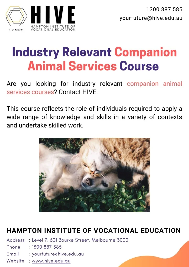 PPT Industry Relevant Companion Animal Services Course PowerPoint