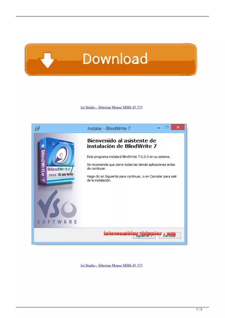Ppt 1st Studio Siberian Mouse Msh 45 373 Powerpoint Presentation Free Download Id 10750833 Ppt 1st Studio Siberian Mouse Msh 45 373 Powerpoint Presentation Free Download Id 10750833