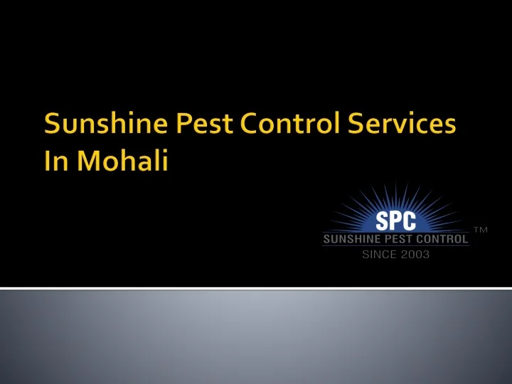 PPT Sunshine Pest Control Services in Mohali PowerPoint Presentation