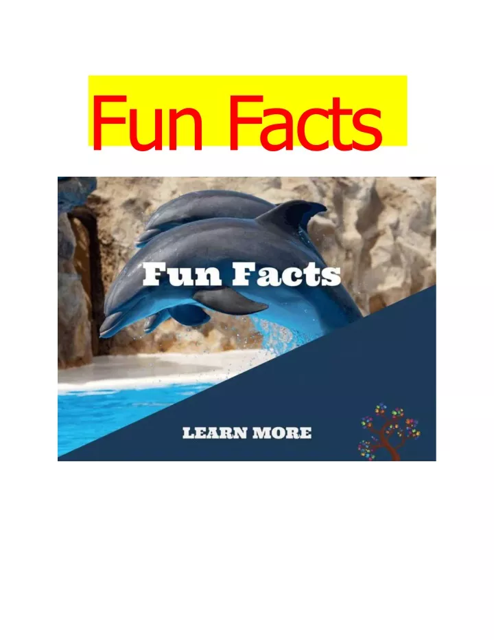 fun facts powerpoint presentation