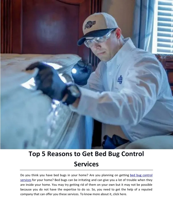 PPT Top 5 Reasons to Get Bed Bug Control Services PowerPoint