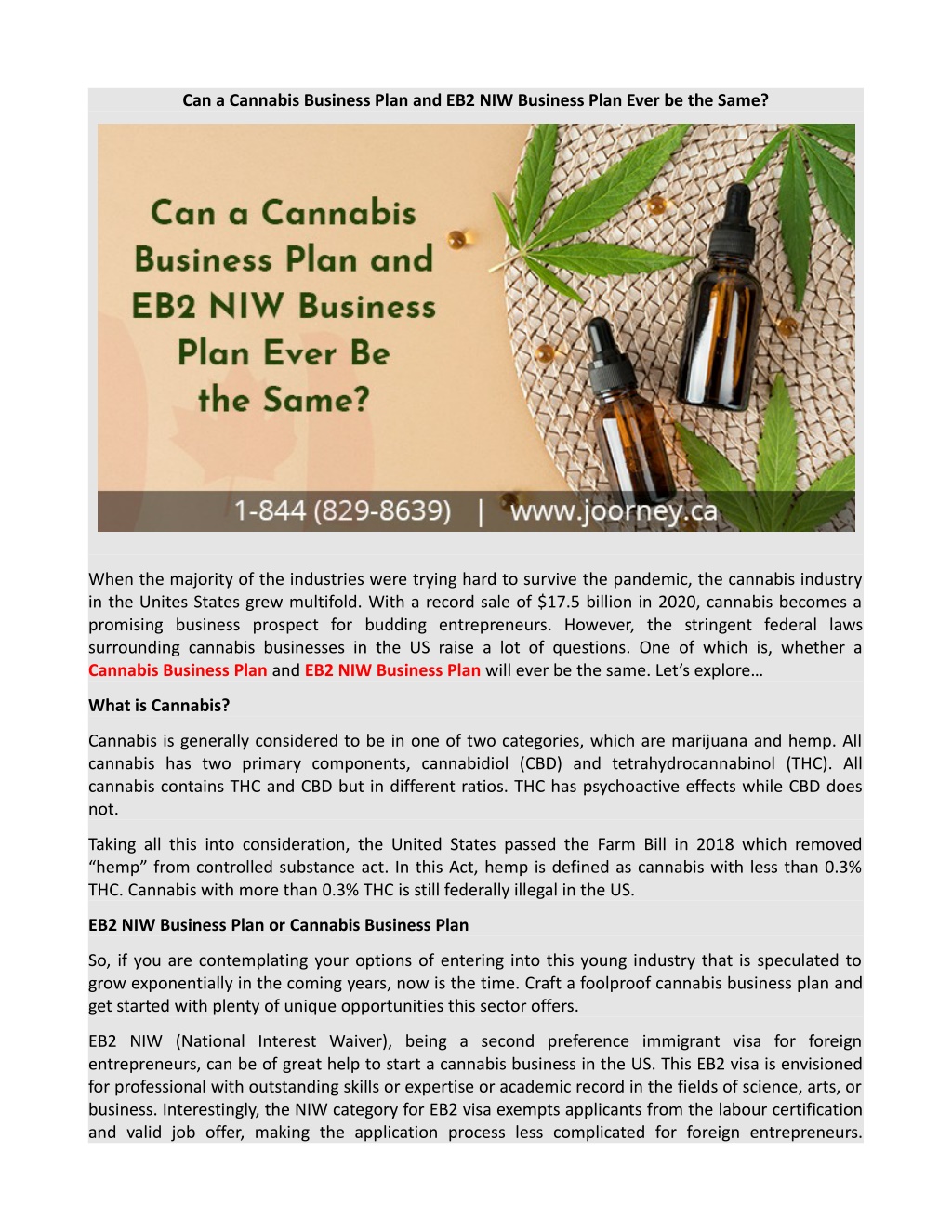 PPT - Can a Cannabis Business Plan and EB2 NIW Business Plan Ever be ...