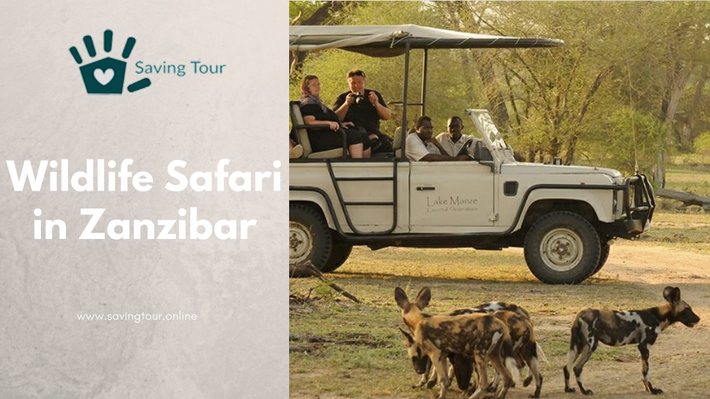 saving tour zanzibar