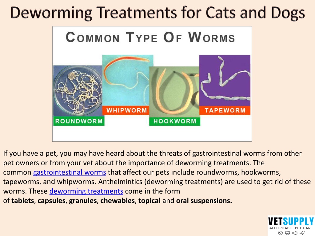 PPT How often should you deworm your pet? Wormer for Pets VetSupply