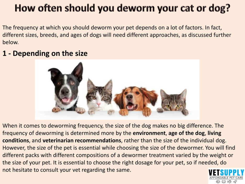 How Often Should You Deworm A Dog