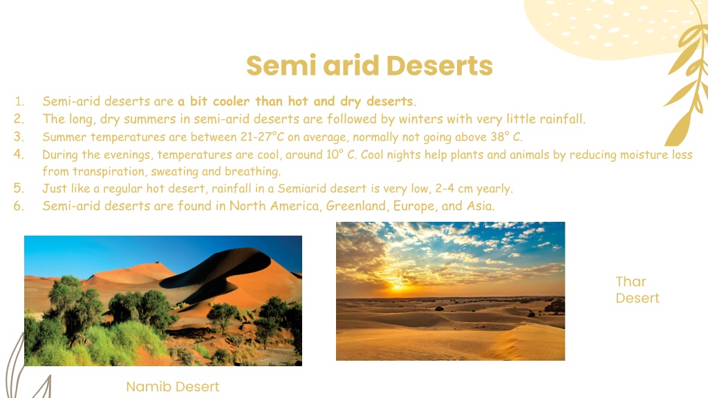 PPT - Desert Ecosystem PowerPoint Presentation, free download - ID:10789451