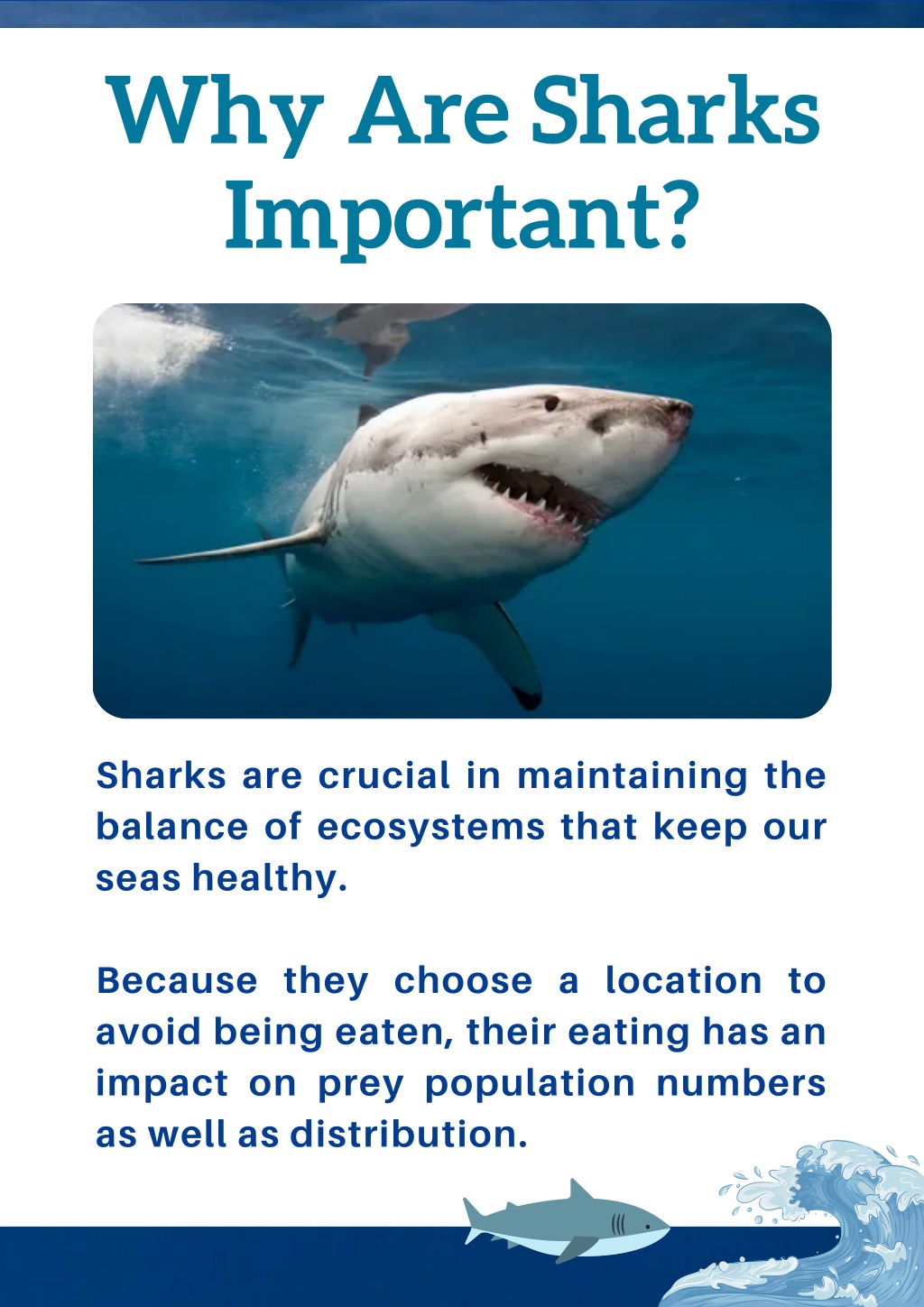 PPT - Facts about Great White Sharks PowerPoint Presentation, free ...