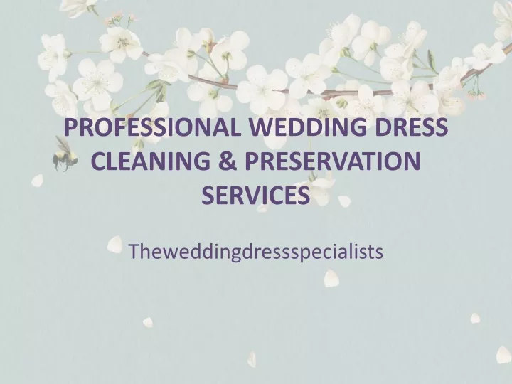 PPT - Professional Wedding Dress Cleaning & Preservation Services