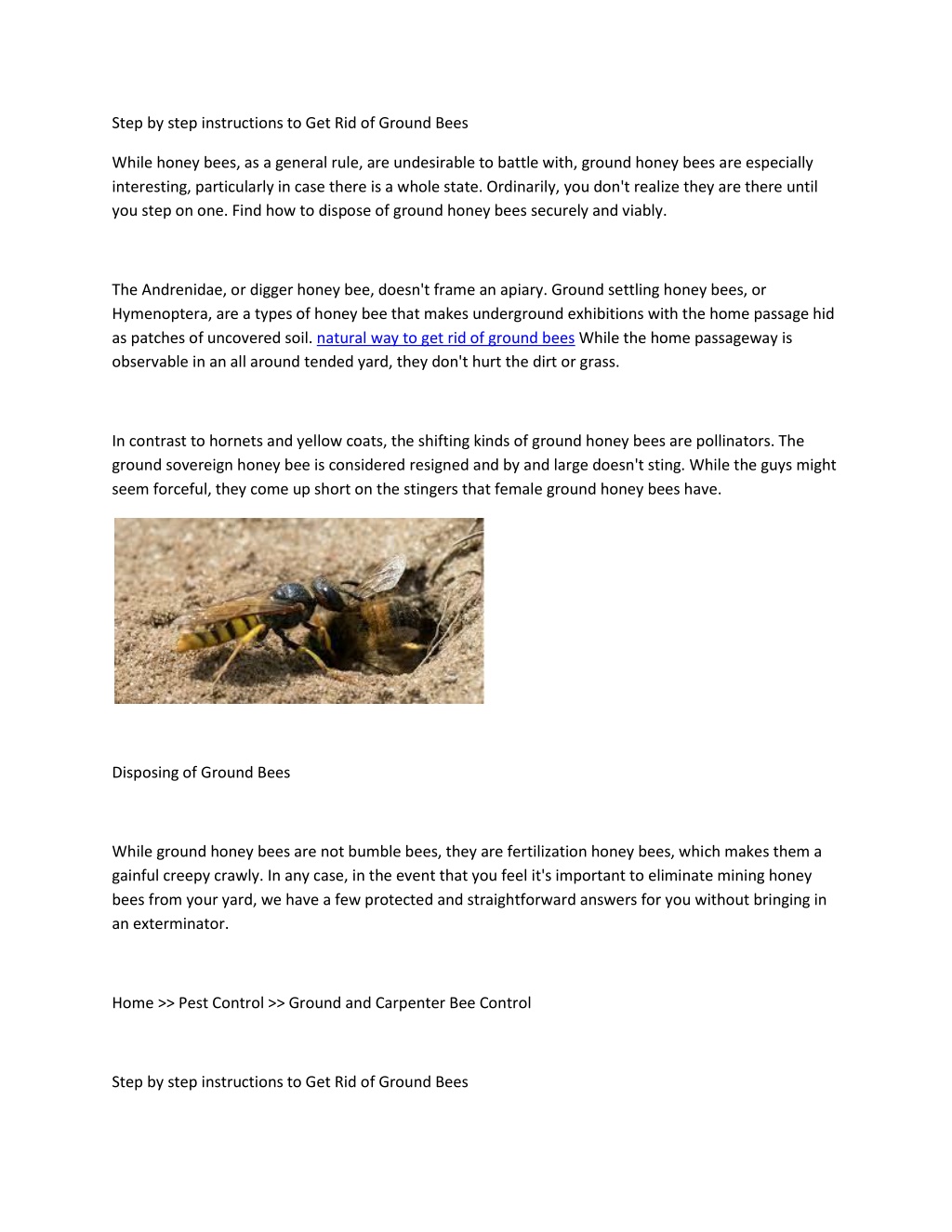 PPT - Natural way to get rid of ground bees PowerPoint Presentation ...