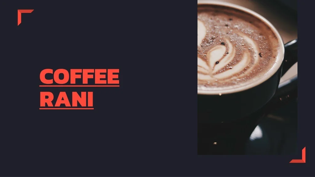 PPT Coffee Rani Offering Exquisite Cuisine in Downtown Covington, LA