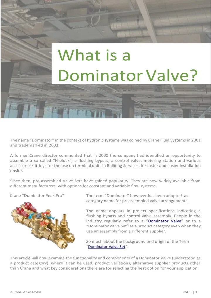 PPT - What is a DominatorValve? PowerPoint Presentation, free download ...