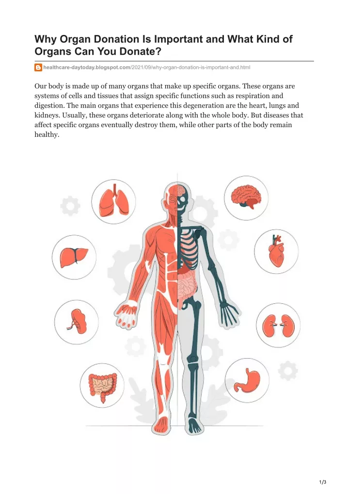 PPT - Why Organ Donation Is Important And What Kind Of Organs Can You ...