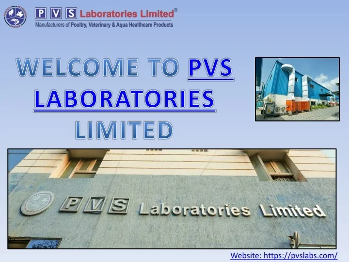 ppt-animal-feed-supplement-manufacturers-in-india-pvslabs