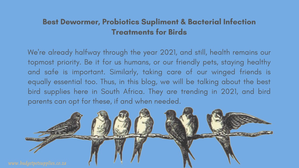 Ppt Best Bird Dewormer Probiotics Supliment Bacterial Infection