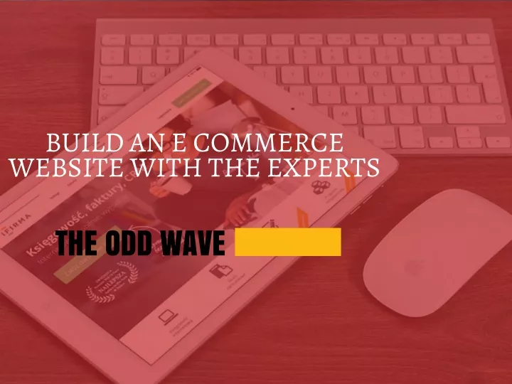 build an e commerce website with the experts n.