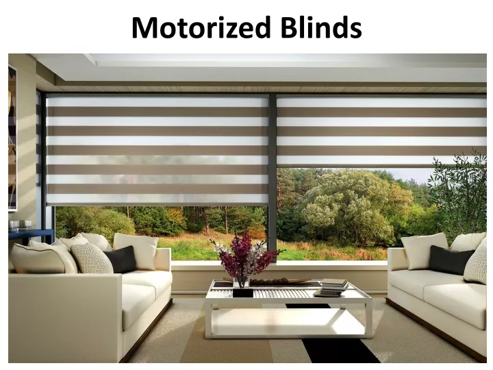 PPT - Motorized Blinds PowerPoint Presentation, Free Download - ID:10863144