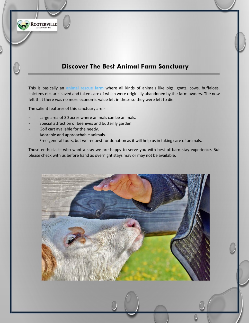 Discover The Best Animal Farm Sanctuary L 