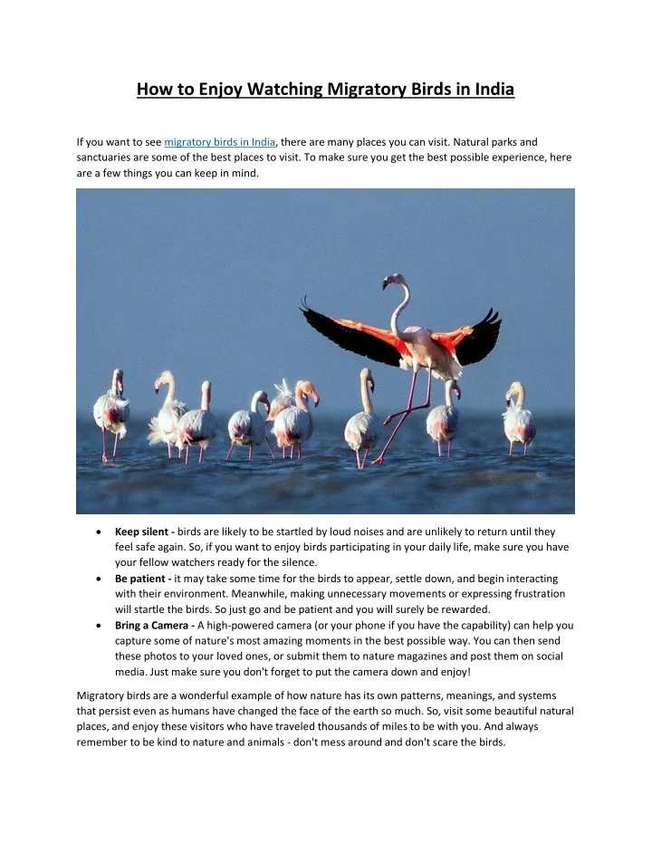 powerpoint presentation on migratory birds in india