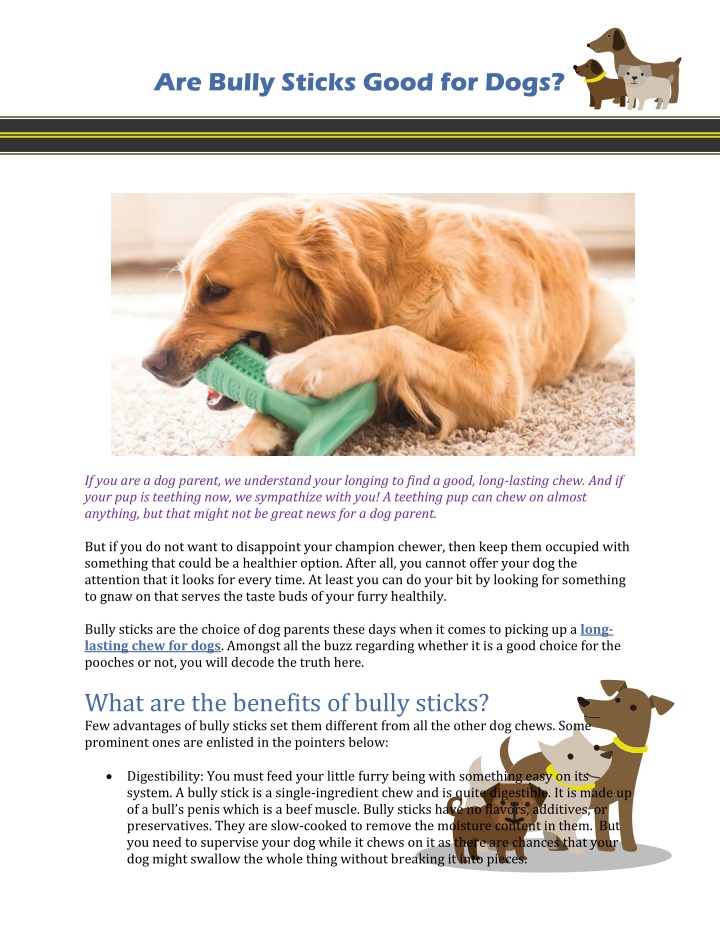 PPT Are Bully Sticks Good for Dogs PowerPoint Presentation, free download ID10898595