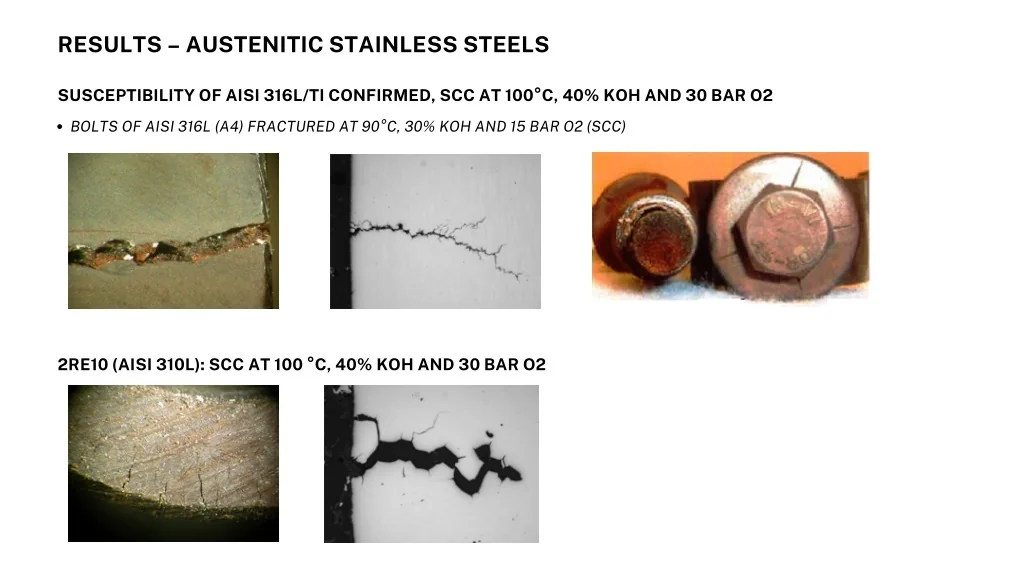 PPT RhinoxusaStainless Steel PPT PowerPoint Presentation, free