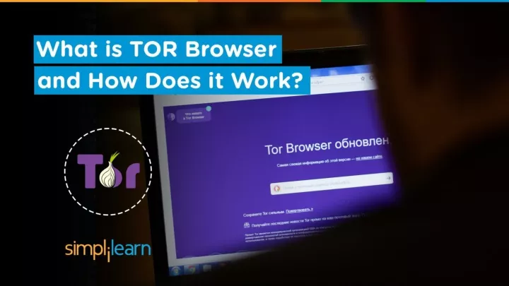 tor browser принципы работы mega