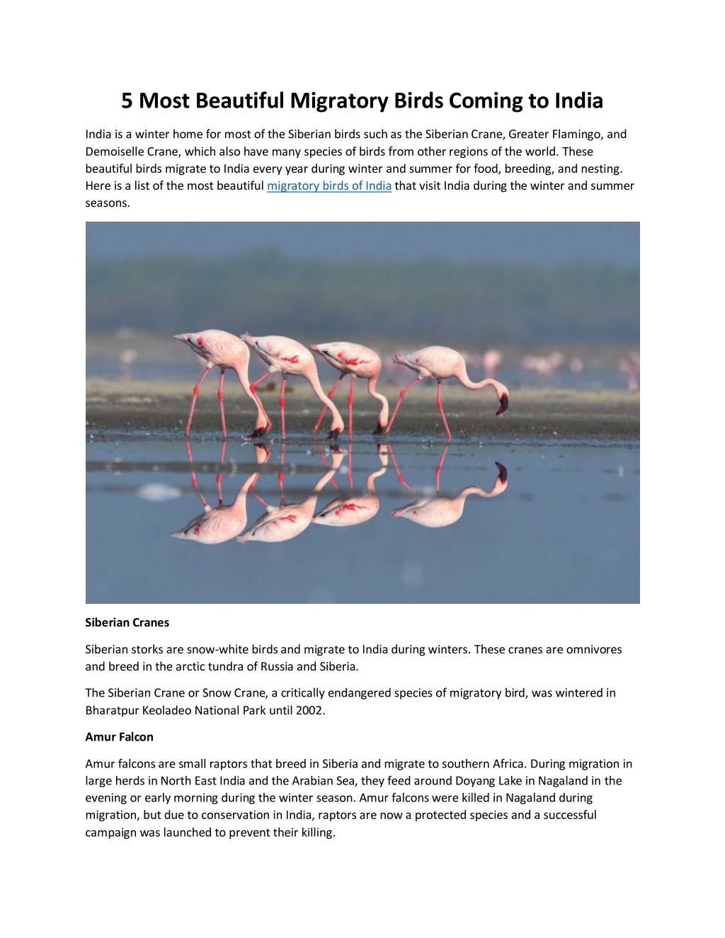 powerpoint presentation on migratory birds in india