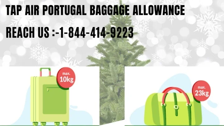 PPT - TAP Air Portugal Baggage Fees |1-844-414-9223| Baggage Allowance