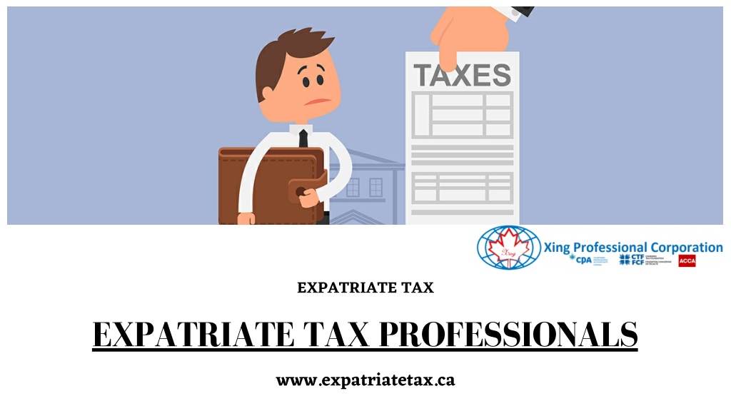 Ppt Best Expatriate Tax Professionals Expatriate Tax Powerpoint Presentation Id10938677 5472