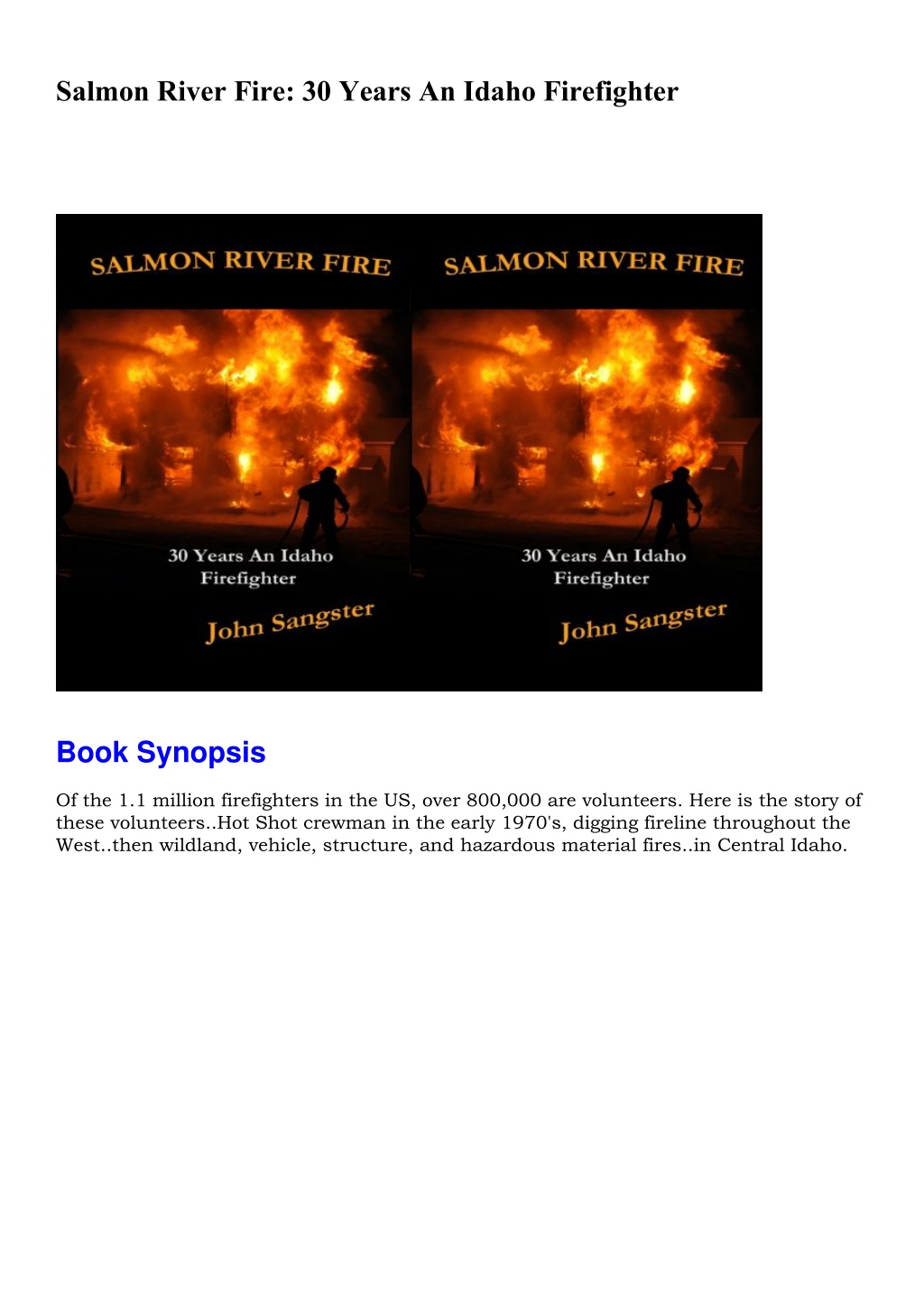 PPT EPUB Salmon River Fire 30 Years An Idaho Firefighter PowerPoint