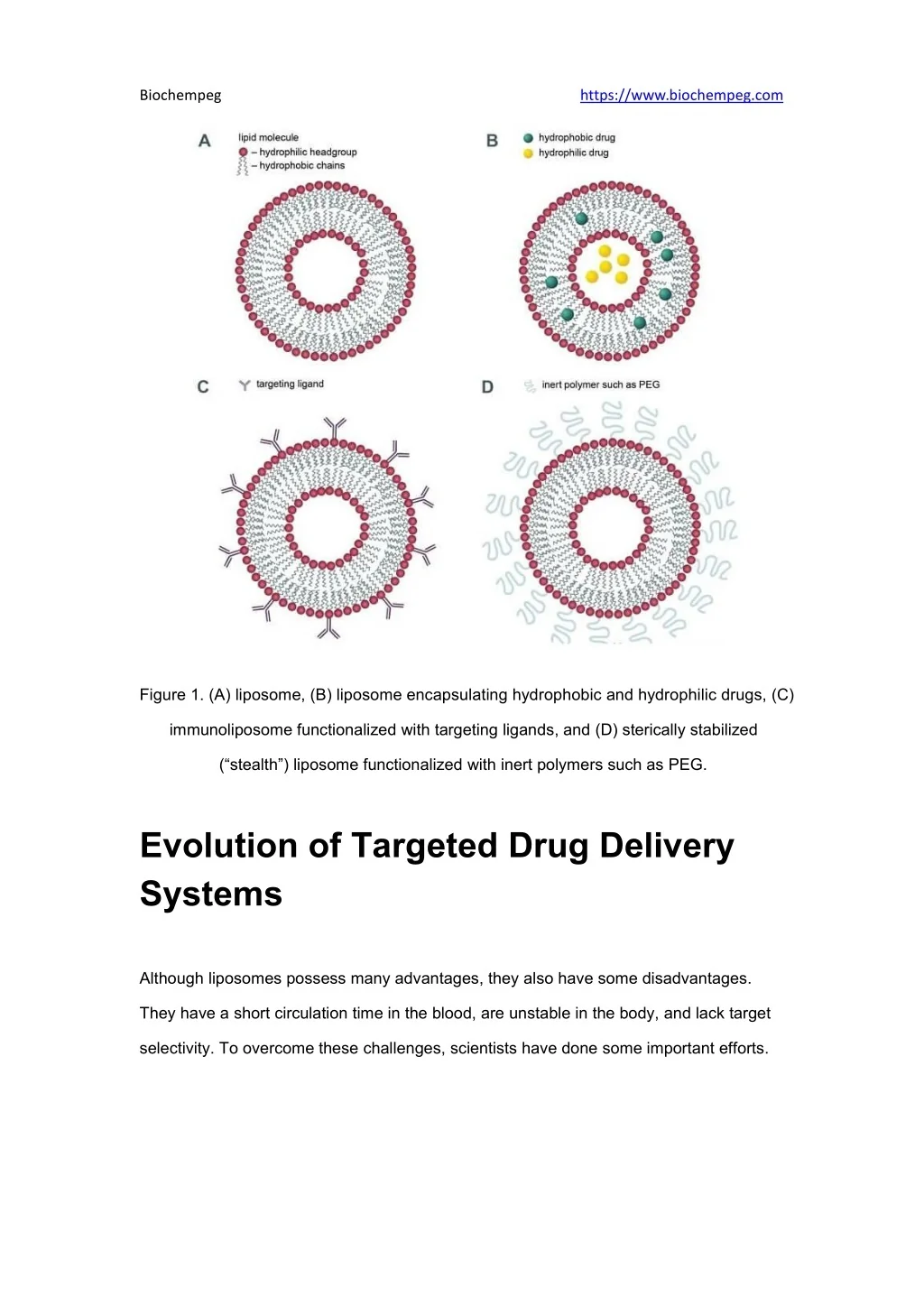 PPT - Lipid Nanoparticles for Drug and Vaccine Delivery PowerPoint ...