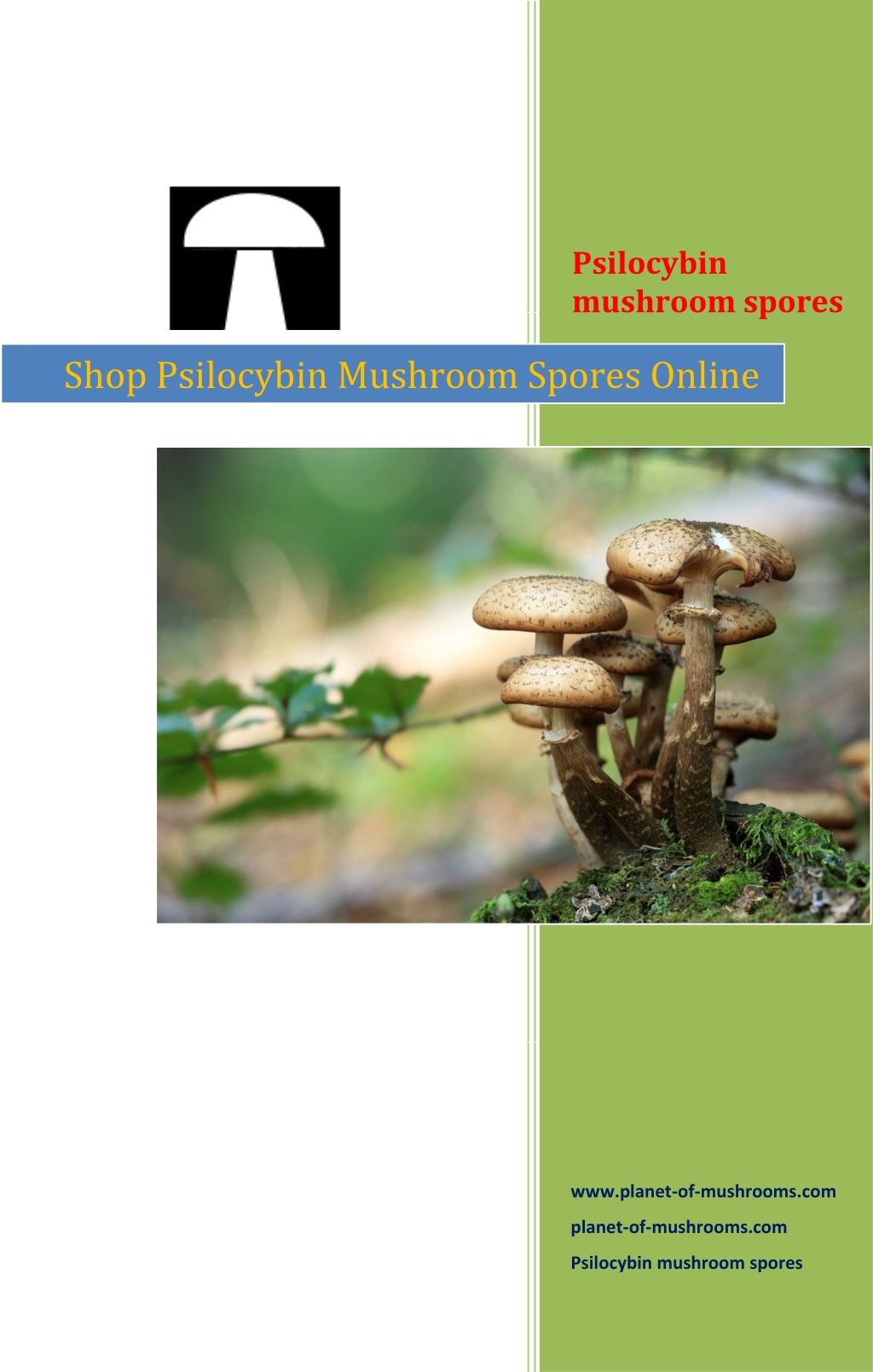 PPT - Shop Psilocybin Mushroom Spores Online - Planet-of-mushrooms ...