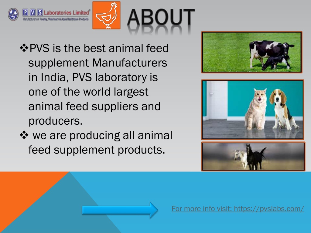 PPT - animal feed supplement exporters in vijayawada,India| PVSLabs  PowerPoint Presentation - ID:10948420